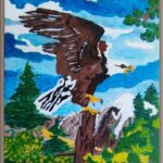Weiskopfseeadler